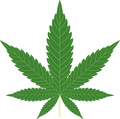 Marijuana Leaf